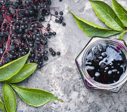 kara-mürver-nedir-min-scaled