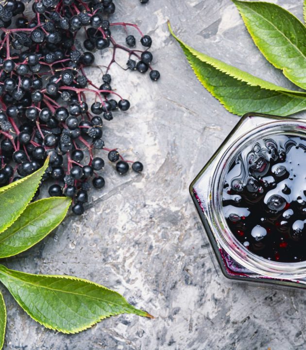 kara-mürver-nedir-min-scaled